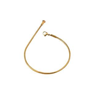 <span class=keywords><strong>Pulsera</strong></span> de cadena de pigmento dorado que combina con todo para mujer, <span class=keywords><strong>pulsera</strong></span> de hueso de serpiente de acero de titanio explosivo, pulseras de eslabones de moda - Product Image 4
