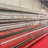 Cage de poulet nouvelle condition pour l'élevage de volailles en acier automatique de type A Cage de maison de batterie pour caille lapin oiseau cage d'animaux