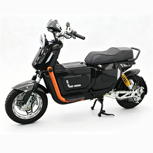 Moto électrique NIU <span class=keywords><strong>U2</strong></span> modifiée sur mesure, haute vitesse, tout-terrain, pour le marché russe - Product Image 1