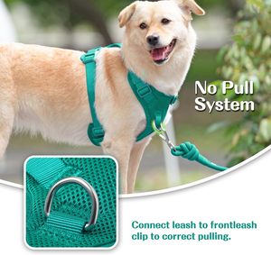Harnais pour chien en néoprène réglable, ensemble harnais et laisse pour chien, harnais pour chien personnalisé - Product Image 2