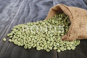 Grains <span class=keywords><strong>de</strong></span> <span class=keywords><strong>café</strong></span> Robusta aromatiques <span class=keywords><strong>de</strong></span> haute qualité, grade premium, pour la vente en gros <span class=keywords><strong>au</strong></span> <span class=keywords><strong>meilleur</strong></span> prix, Yunnan Chine - Product Image 4