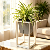 Pot de fleurs auto-arrosant en plastique transparent de style nordique avec support surélevé et réservoir visible pour plantes d'intérieur
