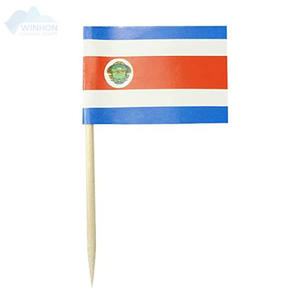 Fiesta Bar comida saludable personalizado madera cóctel palillo de dientes bandera poliéster Cos ta Rica bandera palillo de dientes bandera para Decoración - Product Image 2