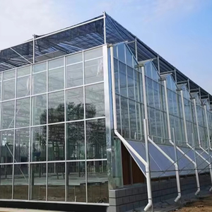 Chi phí thấp đa span nhà kính thiết bị nông nghiệp autom 40x100 phim nhà kính cấu trúc để bán - Product Image 3