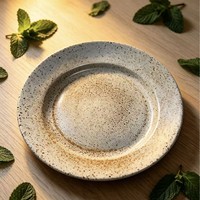 Assiette de table en plastique effet éclaboussures d'encre rétro et plat décoratif texturé de style nordique, semi-artisanal, pour la mise en scène de table de fête