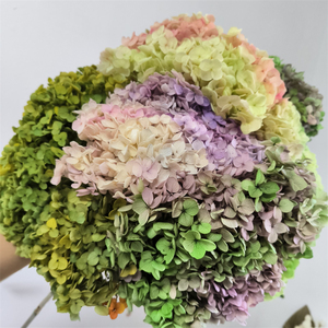 Tự làm vật liệu bất tử bảo quản tươi Anna hoa cẩm tú cầu đầy màu sắc mãi mãi kéo dài Hydrangea với các chi nhánh - Product Image 4