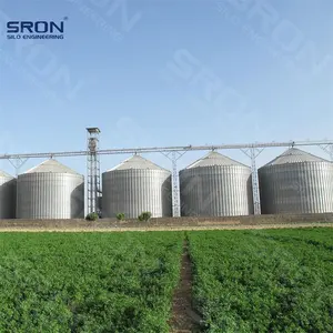 Silos de almacenamiento de grano de alta calidad galvanizados en caliente profesionales para almacenamiento de grano