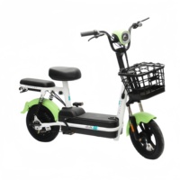 Bicicletas Eléctricas de Largo Alcance de 48V 12/20Ah con Batería de Plomo-Ácido, Personalizadas de Fábrica, para Adultos, de Alta Velocidad