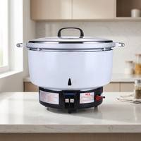 Cuiseur à riz au gaz grande capacité XY Best, idéal pour les professionnels
