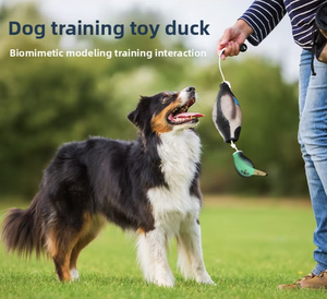 Pato de Entrenamiento Flotante de Goma <span class=keywords><strong>Natural</strong></span> Resistente a Mordidas para <span class=keywords><strong>Perros</strong></span>, Fabricado a Medida con Espuma EVA, para Entrenamiento de Retrivalers - Product Image 1