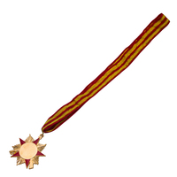 Vente à chaud d'ébauches de médaille de sublimation de carnaval personnalisé au design unique