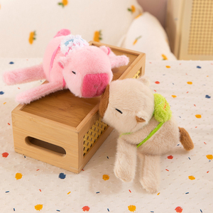 Daire özel Anime Kapibala bebek Pat bilezik çocuklar için doğum günü hediyesi pamuk peluş kumaştan yapılmış - Product Image 5