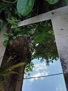 แผ่นตกแต่งสแตนเลส 316L ยี่ห้อ <span class=keywords><strong>XDM</strong></span> ทนการกัดกร่อน ผิวกระจก ความหนา 0.38-3 มม. 6K 8K 10K - Product Image 4