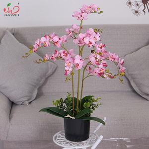 Nuevo Diseño de Árboles Artificiales Decorativos de Plástico Coloridos, Ecológicos y Personalizables para Decoración del Hogar - Product Image 4