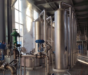 <span class=keywords><strong>Ligne</strong></span> de production complète d'acide citrique à faible coût de fonctionnement économique de qualité supérieure à haut rendement avancé - Product Image 2