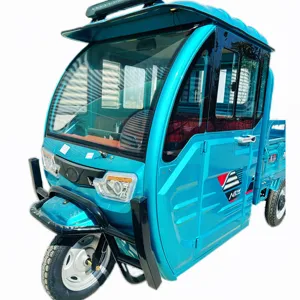 전기 세발 자전거 공장 사용자 정의 2 도어 전기화물 세발 자전거 동봉 넓은 운전자 택시