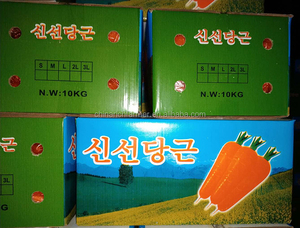 Frisch gewaschene Karotte 2L Big Carrot 10kg Karton nach Kanada - Product Image 4