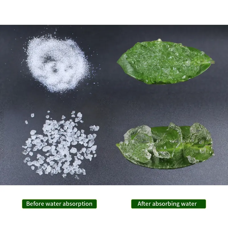 벨리즈 니카라과 물 절약에 있는 토마토를 위한 칼륨 Polyacrylate 수액 중합체 최고 Soco 양파를 위한 Geo Polymerbest 비료