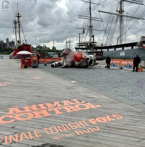 แรคคูนเป่าลมขนาดใหญ่ สมจริงเหมือนจริง ใช้เป็นอุปกรณ์ประกอบฉาก สำหรับโปรโมทภาพยนตร์/งานศิลปะสาธารณะ/ห้างสรรพสินค้า/งานปาร์ตี้ - Product Image 3