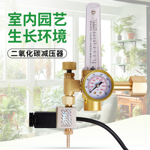 Régulateur de pression de CO2 en laiton 0-4000 Psi monophasé pour serres, hydroponie et horticulture - Product Image 2