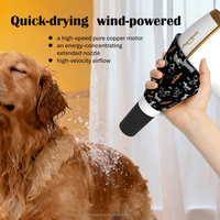 Secador de Mano para Mascotas Shernbao HD101A, Recargable, Silencioso, Compacto, de Plástico, Seguro, con Velocidad Ajustable, para el Hogar y Salones de Belleza