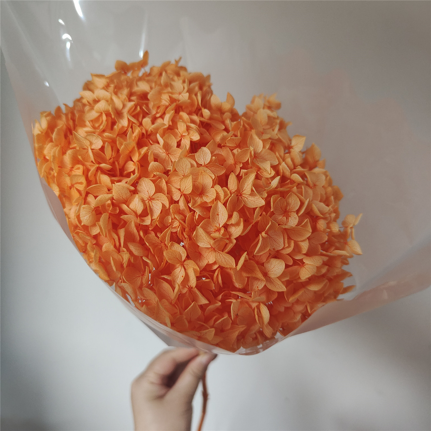 Dark champagne, 18-21 cm
