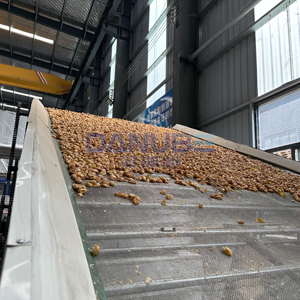 High Productivity Fruit Mesh Belt Dryer Hawthorn and Huangpi Fruit Drying Machine Fruit Cleaning and Slicing Dryer Line - Product Image 5