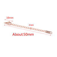 Chaînes d'extension en acier inoxydable plaqué or 18 carats de 5 cm avec fermoirs mousquetons pour la création de bijoux DIY