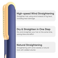 Nouvel Arrivage 2-en-1 : Sèche-cheveux et Lisseur Professionnel Portable pour Salon