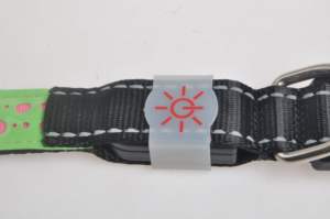 <span class=keywords><strong>Collar</strong></span> de perro LED de nailon ajustable personalizado con luces LED, <span class=keywords><strong>collar</strong></span> intermitente luminoso seguro para visibilidad nocturna - Product Image 6