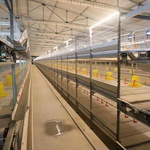 Nuevas Jaulas de Engorde Tipo H Multinivel Antideslizantes para Granjas Individuales de Montaña, Fáciles de Mover y Operar, Adaptables a Terrenos Difíciles - Product Image 1