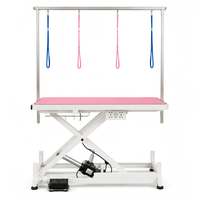 Table de toilettage pour animaux de compagnie XY ACMR02 avec élévateur électrique, hauteur réglable, plateau large, boucles de sécurité et moteur silencieux pour usage quotidien