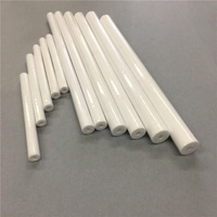 Tube d'allumage en céramique d'alumine à 95 %, électrode Al2O3 pour brûleur d'allumage
