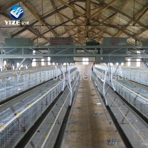 La migliore vendita mangiatoie automatiche layer galline batteria allevamento di polli posa gabbia per uccelli per attrezzature per l'allevamento di animali a strati - Product Image 6