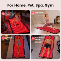 Tapis de lumière rouge pour tout le corps, 660 nm 850 nm, couverture LED pour animaux domestiques, chiens, chats, utilisation à domicile, chambre à coucher, salon, coussin de lumière infrarouge portable