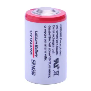 RUIZHI Batterie Li-SOCI2 1/2AA 3.6v er14250 3.6v Batterie au lithium Type d'énergie Compteur Batterie