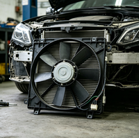 Kühlerlüfter Schwarz 1 Jahr Garantie für Motorsystem OEM 2045000293 Passend für Mercedes-Benz W117 W156 W172 W176 W204