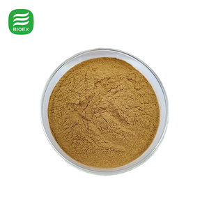 אבקת תמצית פטריית ריישי באיכות מזון, פוליסכרידים 10%20%30%40%50%, תמצית גנודרמה לוסידום - Product Image 2