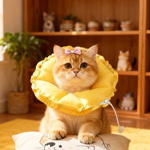 <span class=keywords><strong>Collier</strong></span> Élizabetain Ajustable pour Grand <span class=keywords><strong>Chat</strong></span>, <span class=keywords><strong>Collier</strong></span> Élégant pour Chien, Cône Souple et Durable pour Animaux avec Rivets, Aide à Empêcher de Lécher les Plaies Post-Opératoires - Product Image 5