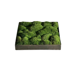 สินค้าตัวอย่างห้องรับประทานกาแฟแบบใหม่ตกแต่งโต๊ะกาแฟศิลปะตั้งโต๊ะสีเขียวเครื่องประดับกรอบมอส - Product Image 2