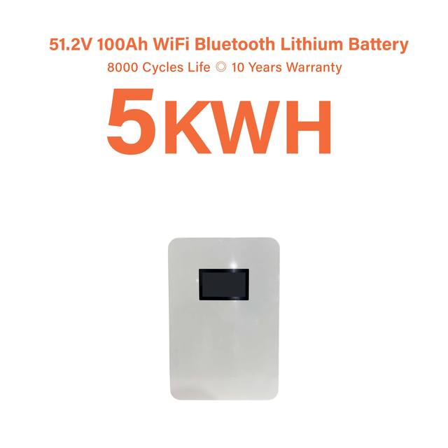 Supcelion 51.2V 100Ah Support RS485 CAN RS323 Communication Interface-10-Year Warranty/batter package