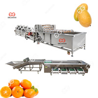 Commercial 500 Kg/H Poire Avocat Nettoyage Épilation Et Classement Abricot Pêche Lavage Ligne De Production De Lavage De Banane