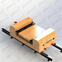 CIMC Pteris automatique mettre mur Auto plateau ensemencement RGV Robot système de tri des colis pour la logistique