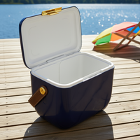 Sangle d'épaule, glacière mini 6L CC, peinture haute brillance, style tendance, boîte à glace pour aliments, canettes, boissons, lait, gâteaux