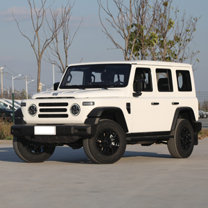 2025 coche nuevo <span class=keywords><strong>212</strong></span> T01 2024 modelo 2,0 T mecánico gasolina compacto 5 puertas vehículo SUV de 5 plazas - Product Image 1