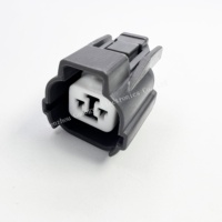 Kit de Conectores de 2 Pines Serie HW, Gris, Hembra y Macho, Enchufe Automotriz USB Tipo 6189-0129