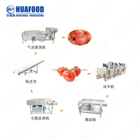 Apple/Peer/Mango Reinigingsverwerkingsapparatuur Voor Fruitgroente Wassen Droogverwerkingslijn