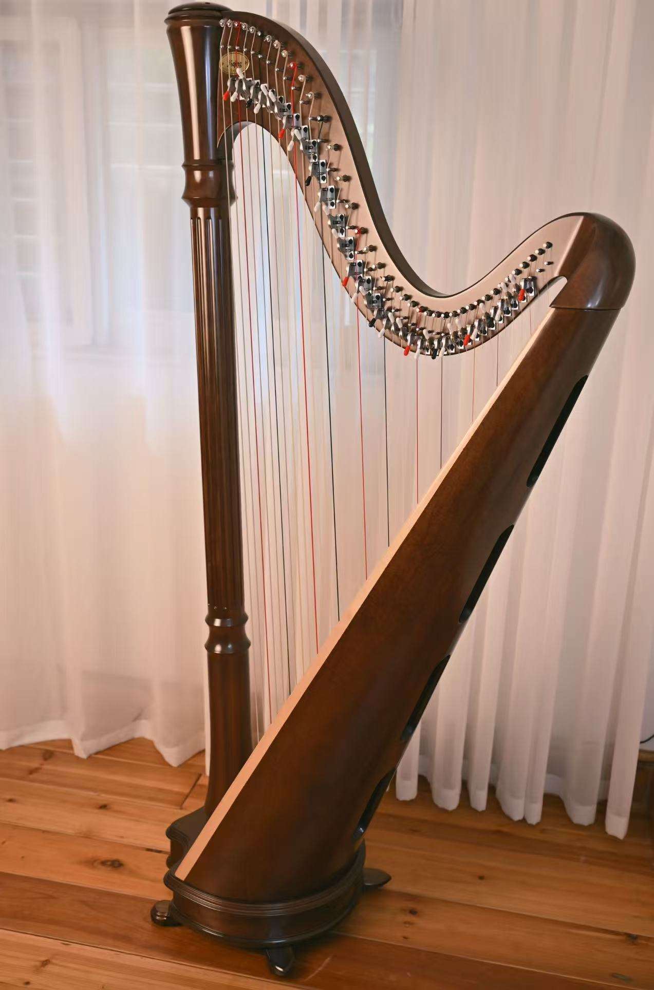 พิณวอลนัท 40 สาย