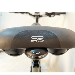 Vélo de montagne électrique personnalisé en usine, vélo tout suspendu, batterie électronique intelligente intégrée 48v, fournisseur à succès, <span class=keywords><strong>Alpes</strong></span> - Product Image 6