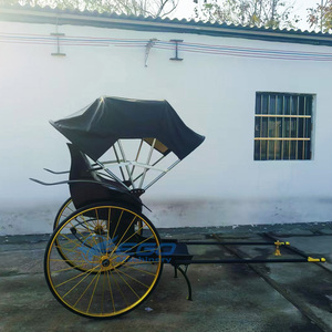 Rickshaw d'inspiration vintage 2025, nouvellement conçu, 2 places, <span class=keywords><strong>à</strong></span> propulsion humaine, chariot traditionnel tiré par des chevaux <span class=keywords><strong>à</strong></span> <span class=keywords><strong>vendre</strong></span> - Product Image 4
